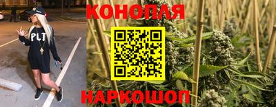 бошки Камышлов