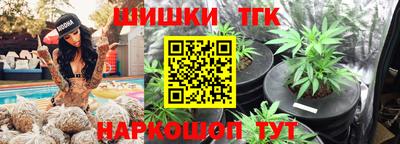 бошки Камышлов
