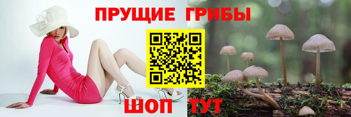 Псилоцибиновые грибы Psilocybine cubensis Наро-Фоминск
