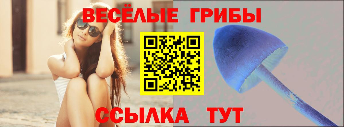 Псилоцибиновые грибы ЛСД  Псилоцибиновые грибы GOLDEN TEACHER  Вход с VPN  Наро-Фоминск 